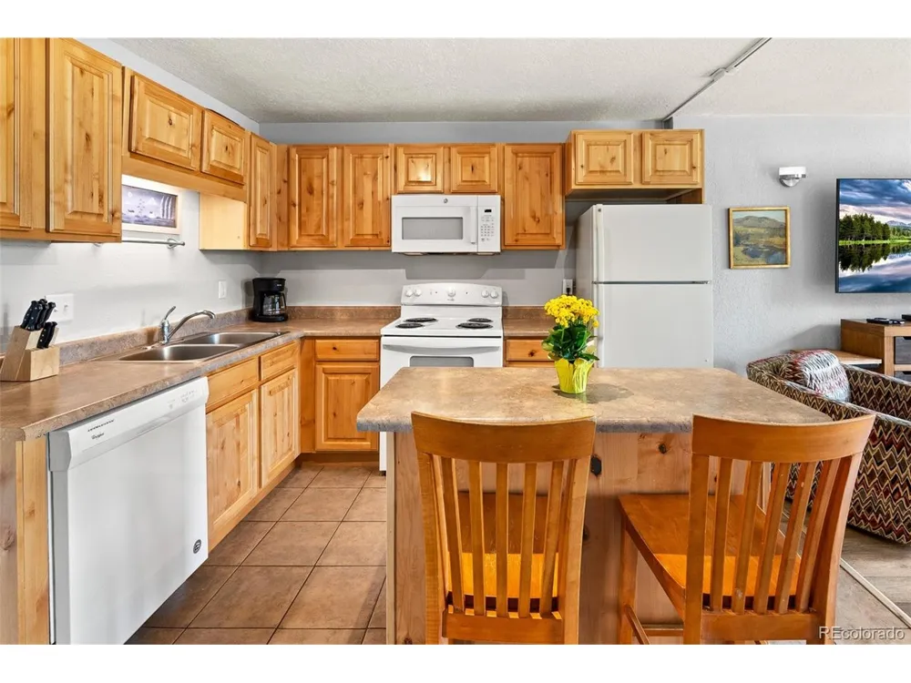 390 Straight Creek Drive #311 Dillon, CO 80435