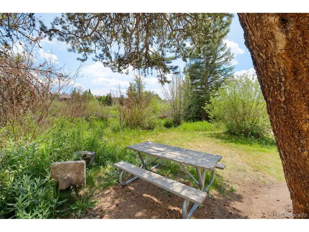 390 Straight Creek Drive #311 Dillon, CO 80435