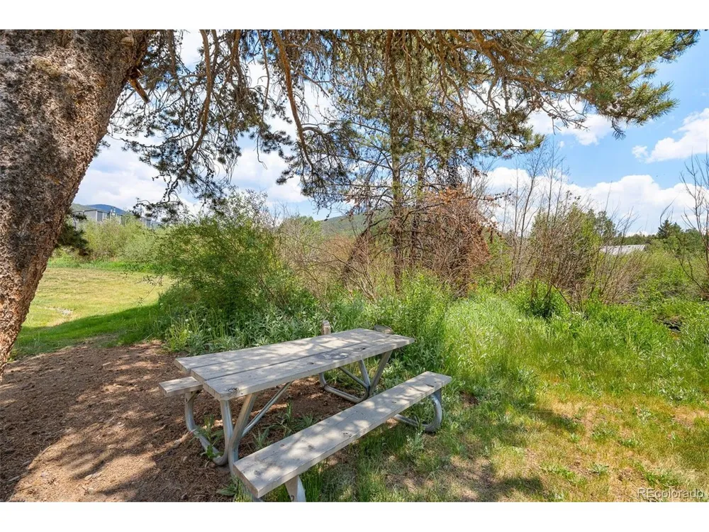 390 Straight Creek Drive #311 Dillon, CO 80435
