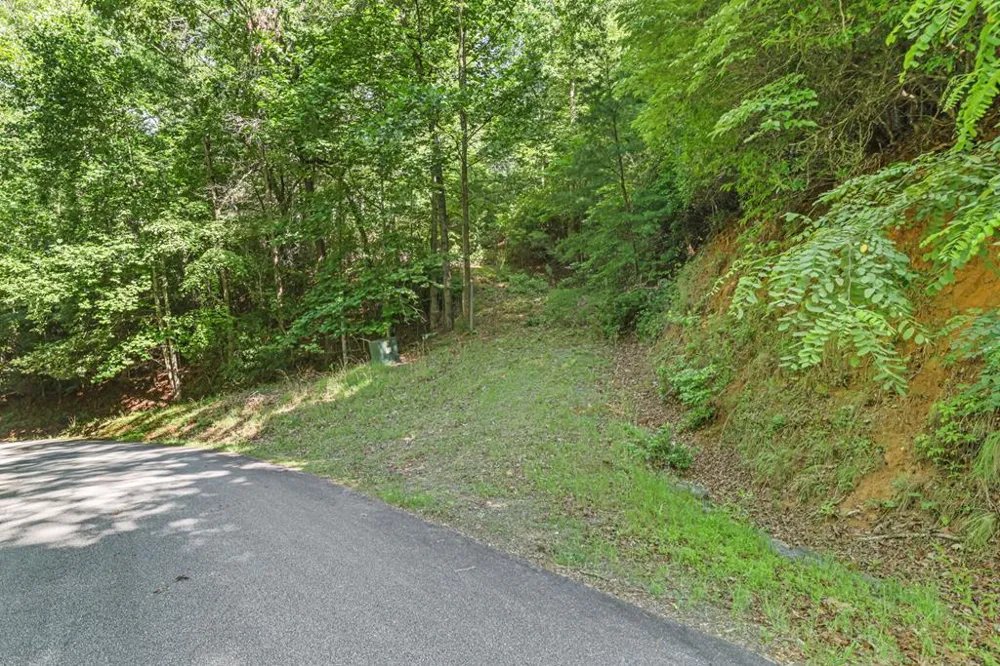 N Blaine Branch Rd Franklin, NC 28734