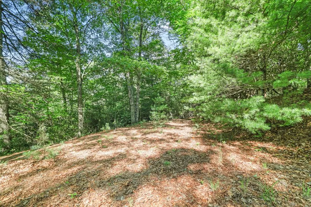 N Blaine Branch Rd Franklin, NC 28734