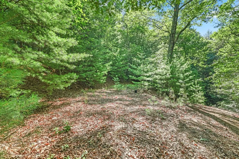 N Blaine Branch Rd Franklin, NC 28734