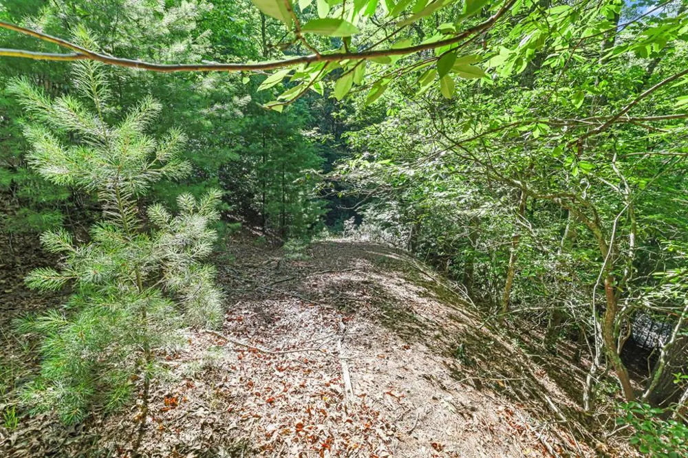 N Blaine Branch Rd Franklin, NC 28734