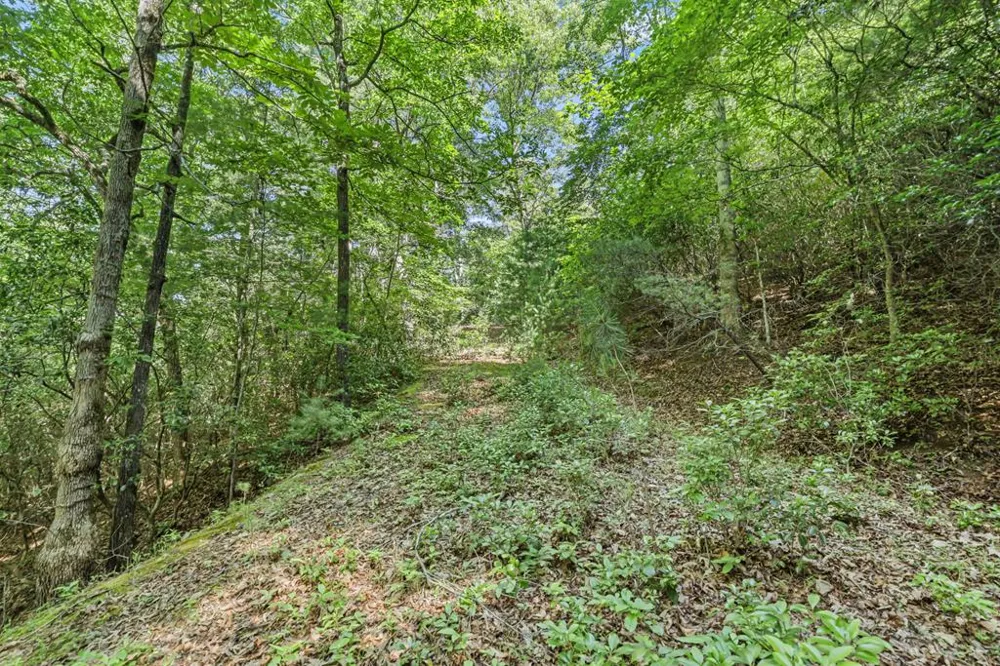 N Blaine Branch Rd Franklin, NC 28734