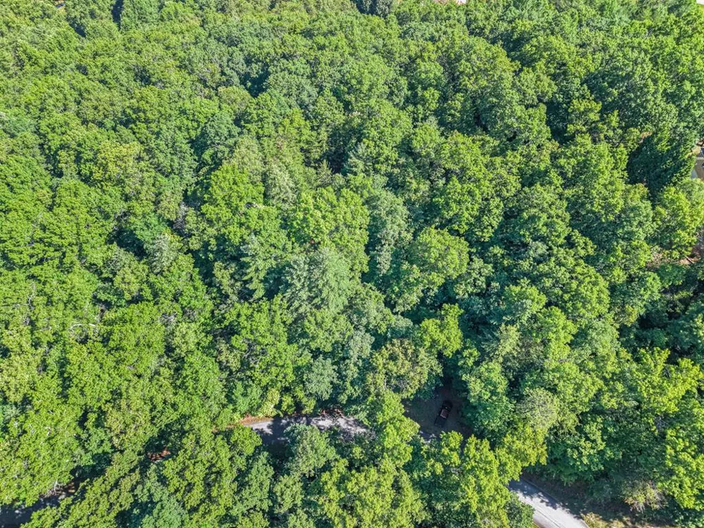 N Blaine Branch Rd Franklin, NC 28734