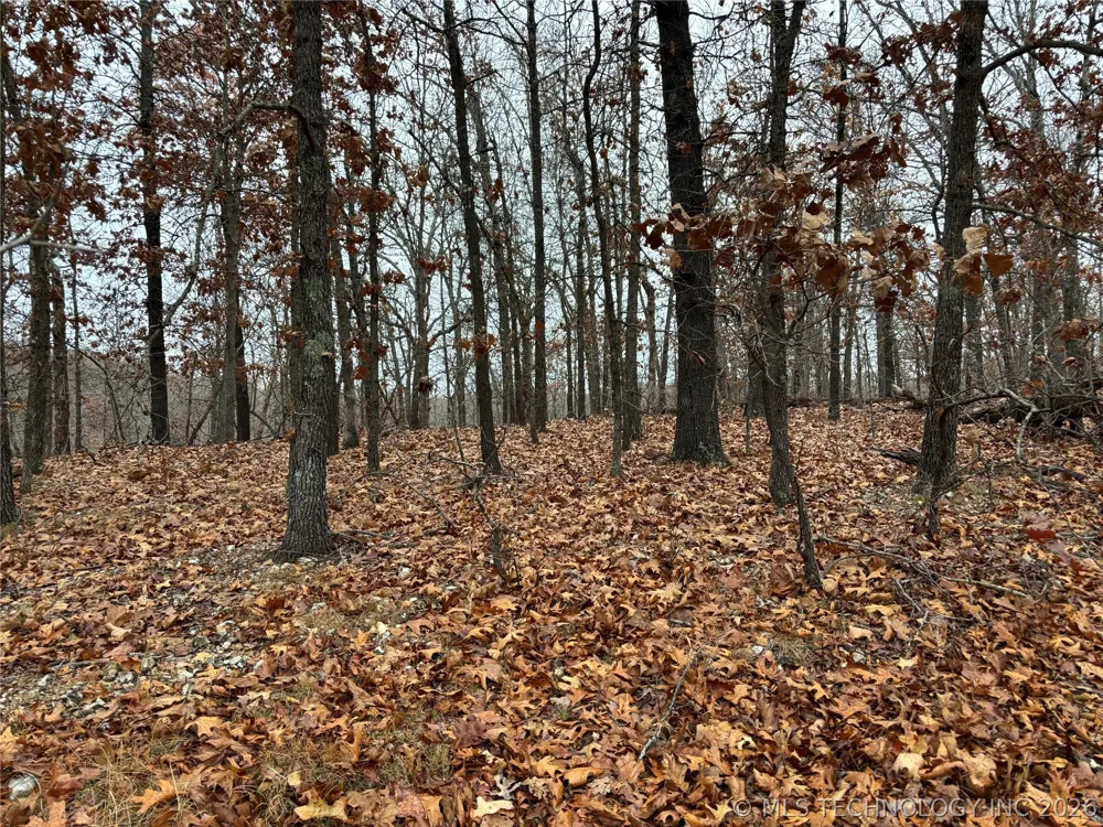 Acorn Ridge Westville, OK 74457