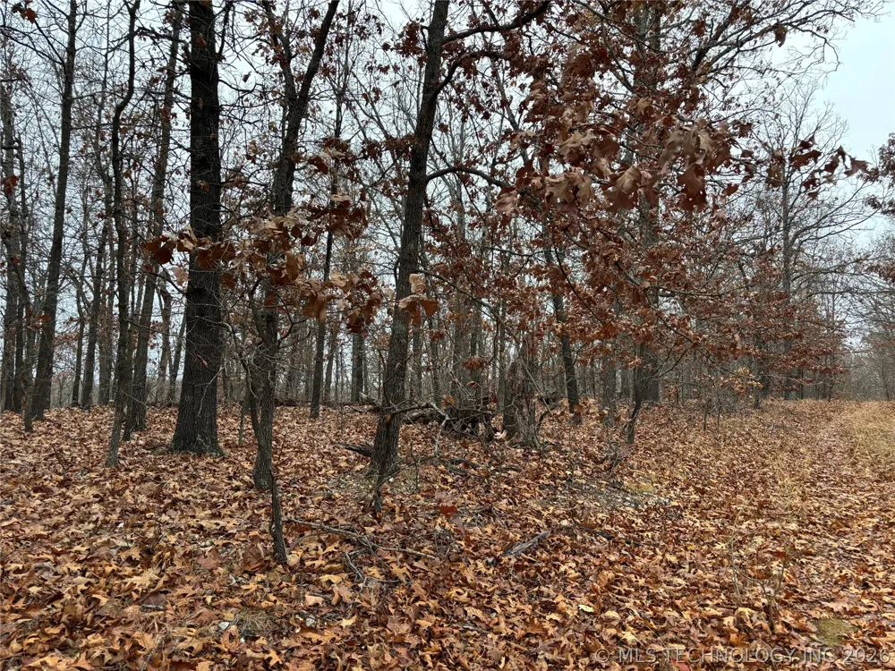 Acorn Ridge Westville, OK 74457