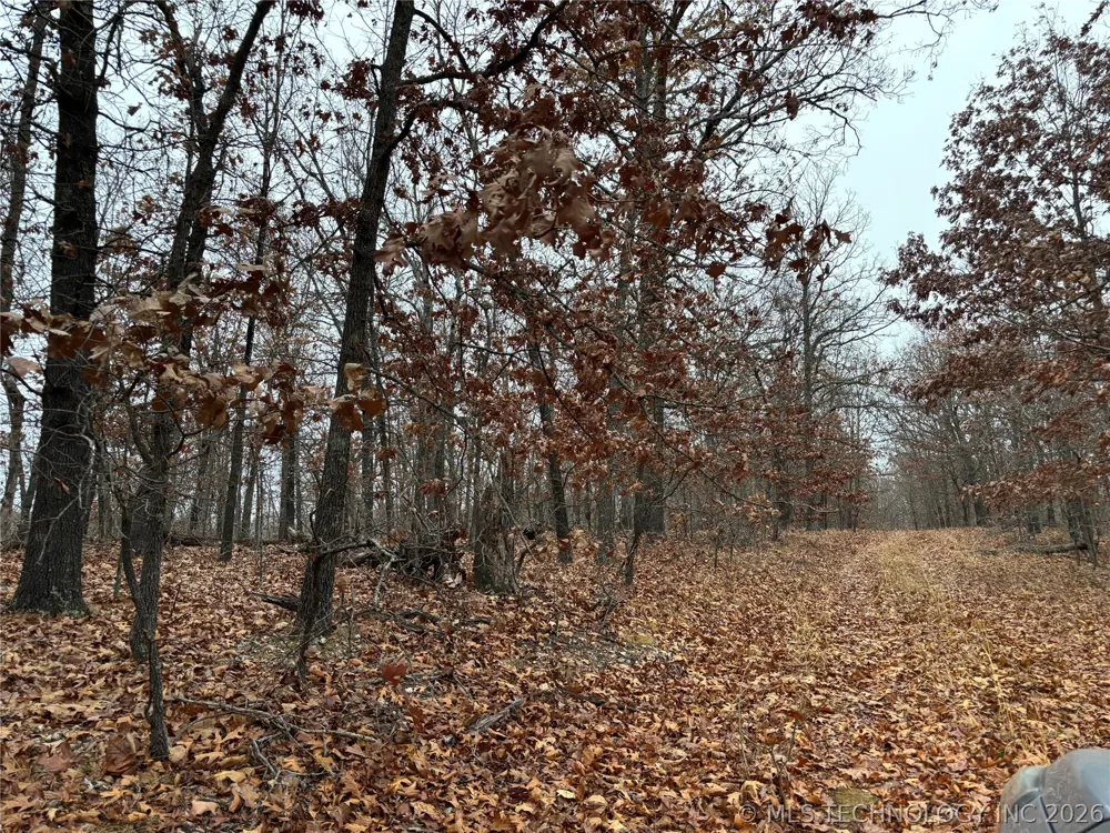 Acorn Ridge Westville, OK 74457