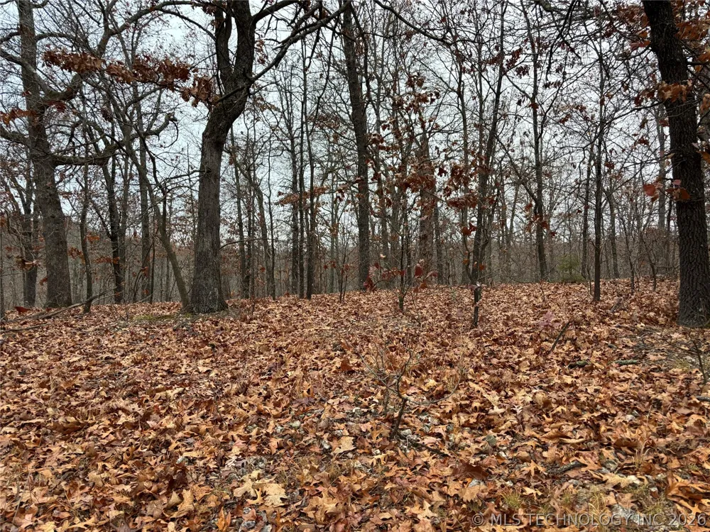 Acorn Ridge Westville, OK 74457