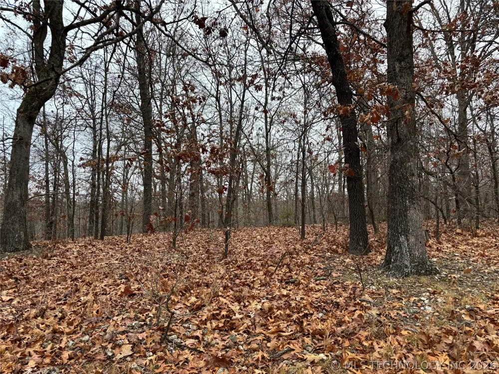 Acorn Ridge Westville, OK 74457