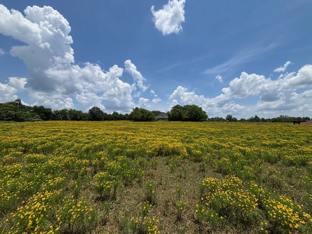 3834 Fenley Flat Road Lufkin, TX 75969