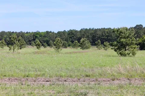 27480 Hwy 365 Road