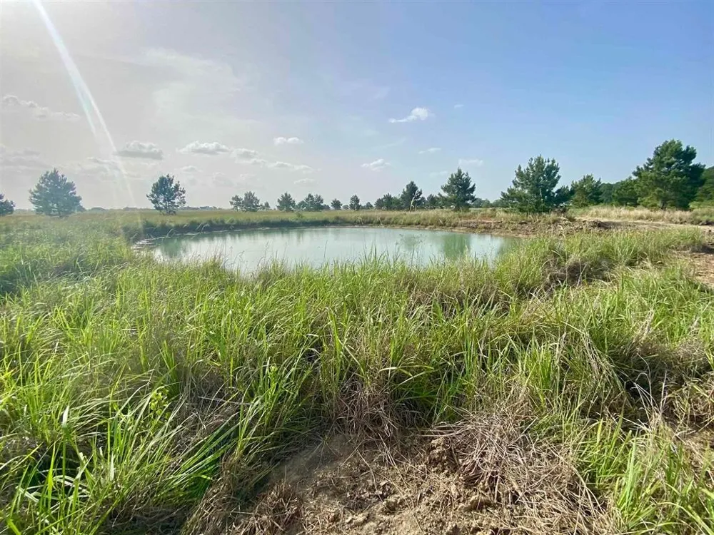 27480 Hwy 365 Road Beaumont, TX 77705