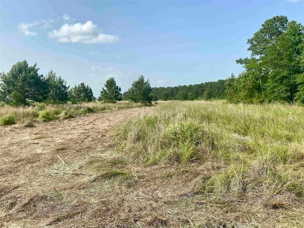 27480 Hwy 365 Road Beaumont, TX 77705