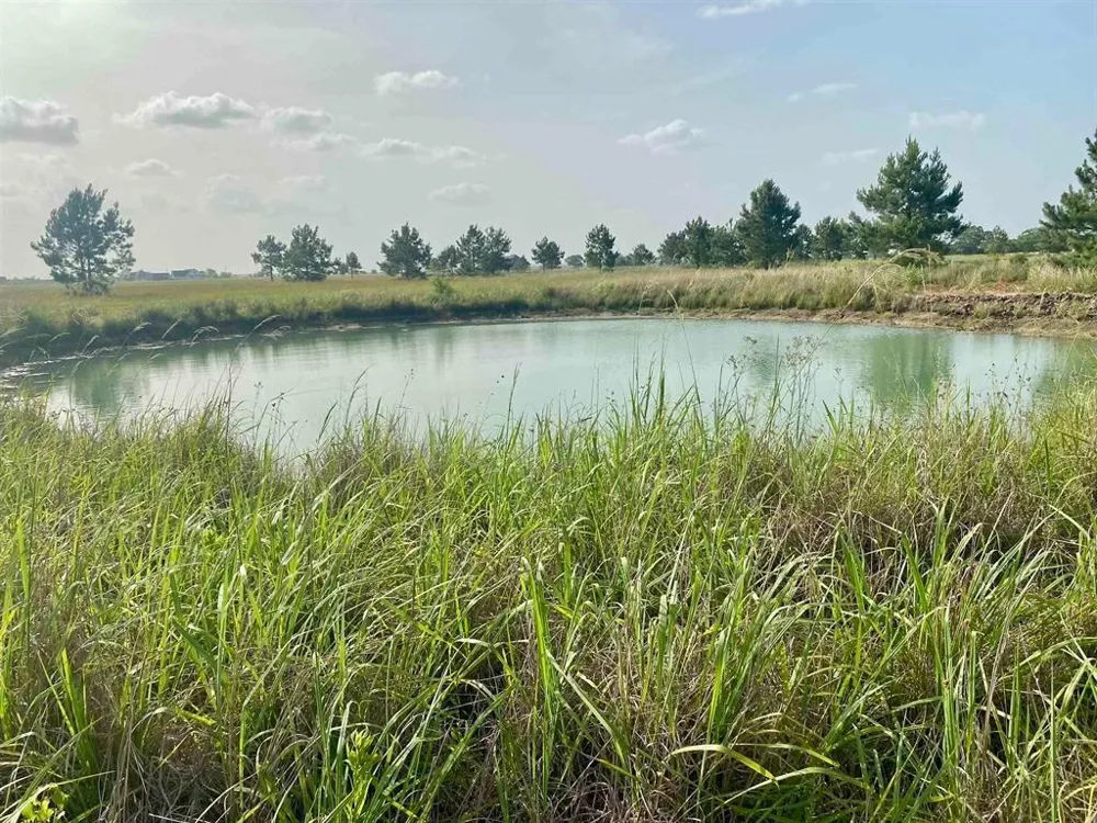 27480 Hwy 365 Road Beaumont, TX 77705