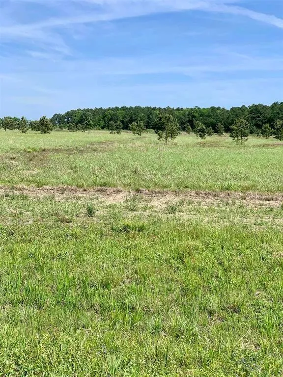 27480 Hwy 365 Road Beaumont, TX 77705