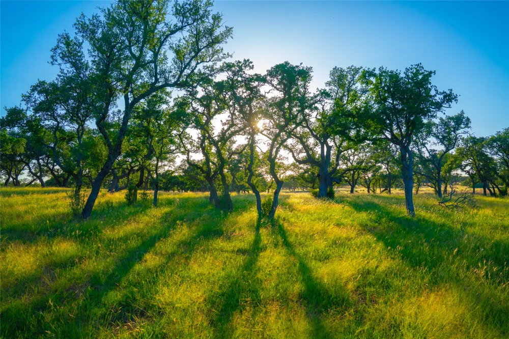 Creekside Ranch Johnson City, TX 78636