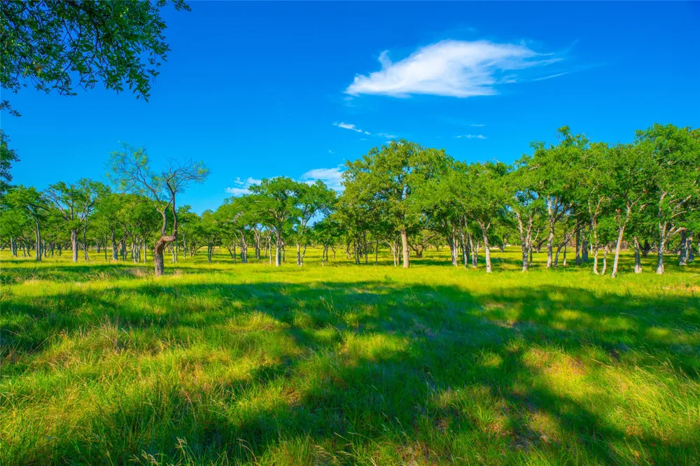 Creekside Ranch Johnson City, TX 78636