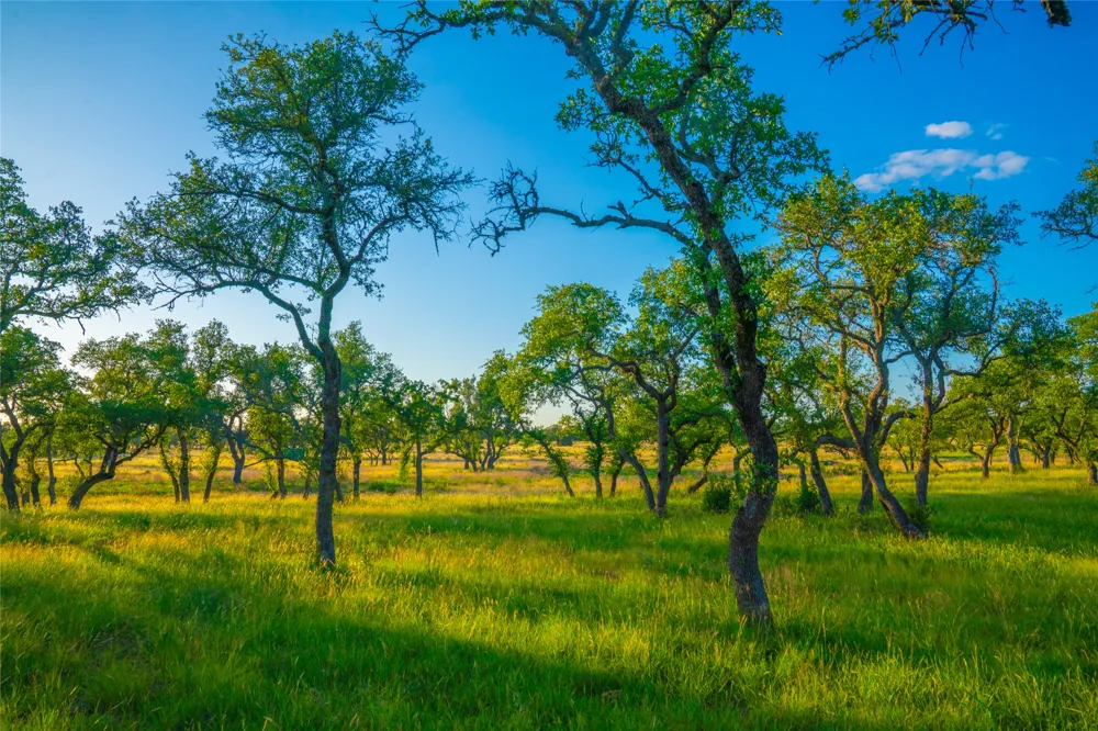 Creekside Ranch Johnson City, TX 78636