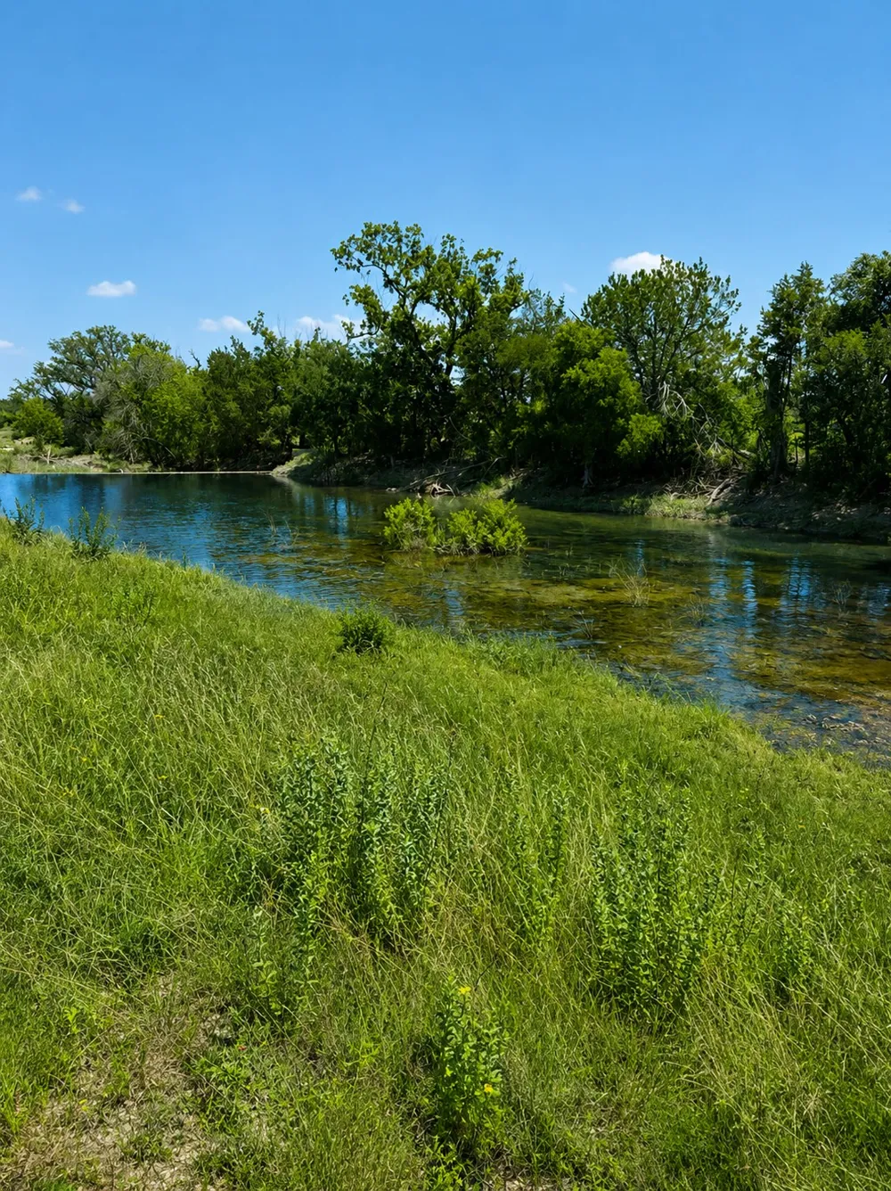 Creekside Ranch Johnson City, TX 78636