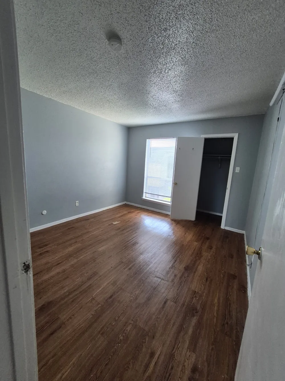 2315 Trellis Place Richardson, TX 75081