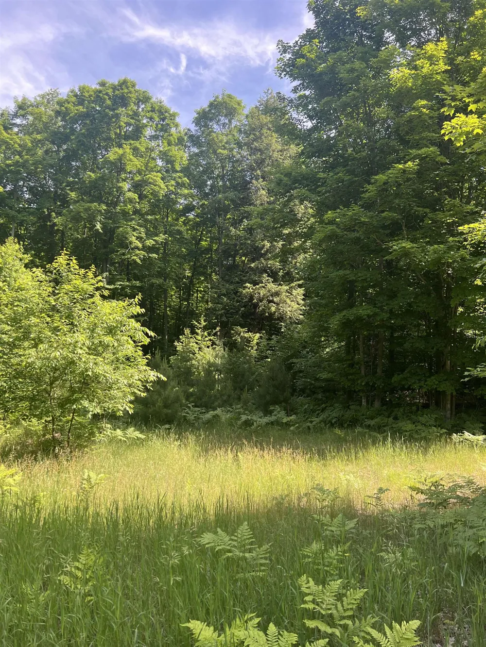 O'Dell Road Whitewater Township, MI 49690