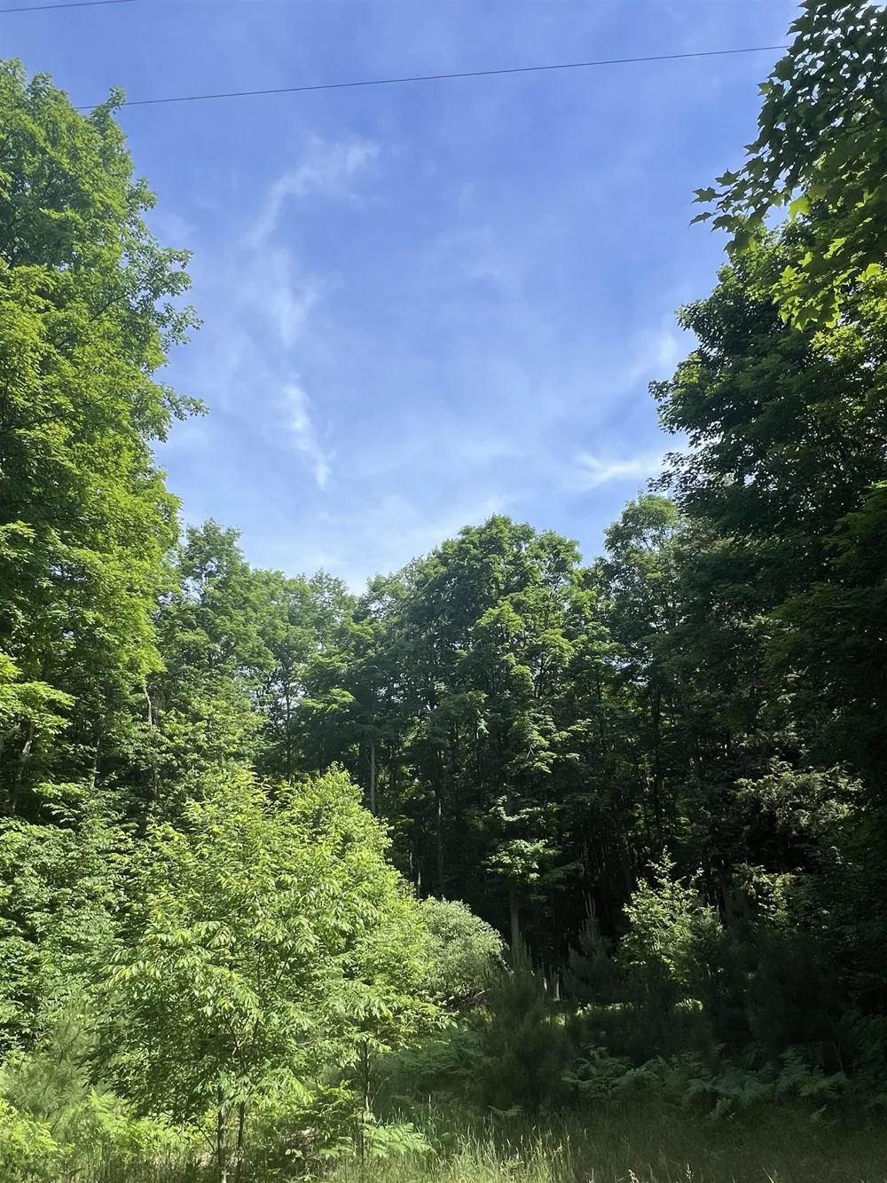 O'Dell Road Whitewater Township, MI 49690