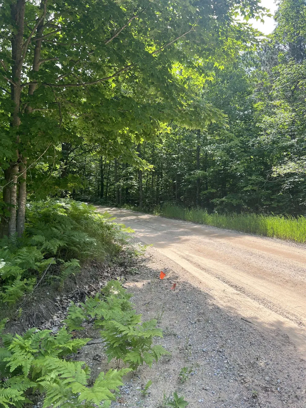 O'Dell Road Whitewater Township, MI 49690