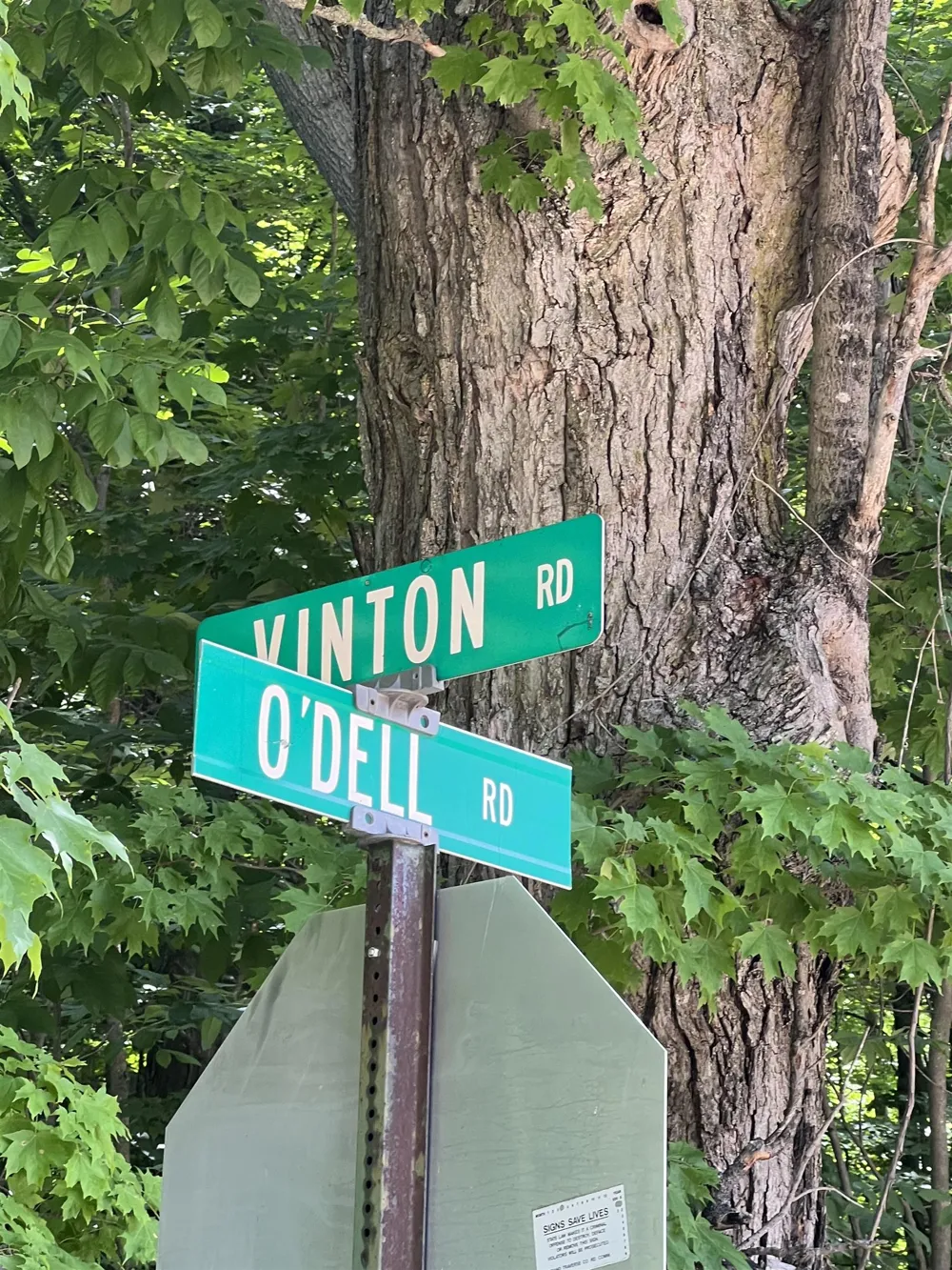 O'Dell Road Whitewater Township, MI 49690