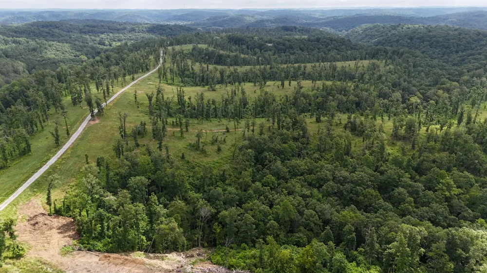 1037 Fairview Blvd Franklin, TN 37064