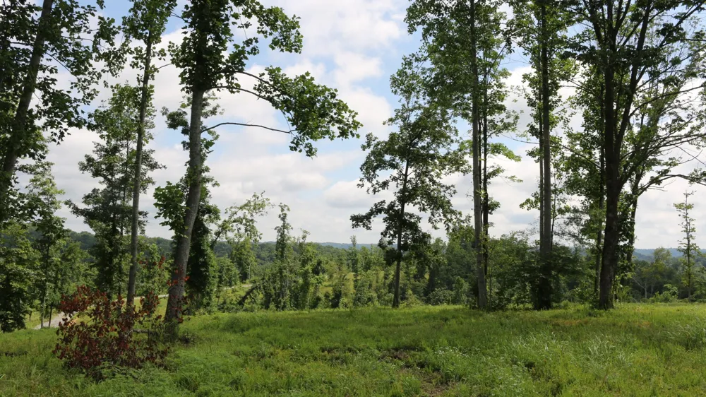 1037 Fairview Blvd Franklin, TN 37064