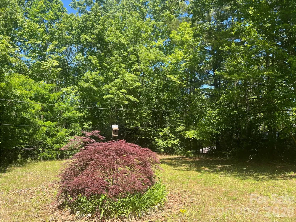 0 Mountain Laurel Lane Fletcher, NC 28732