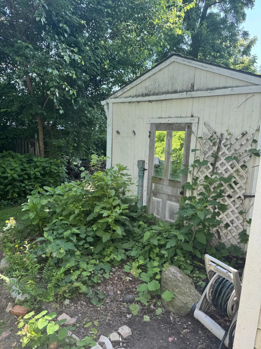 298 W Chicago Street Coldwater City, MI 49036