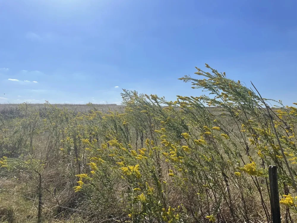 3809 County Road 384 Bartlett, TX 76511