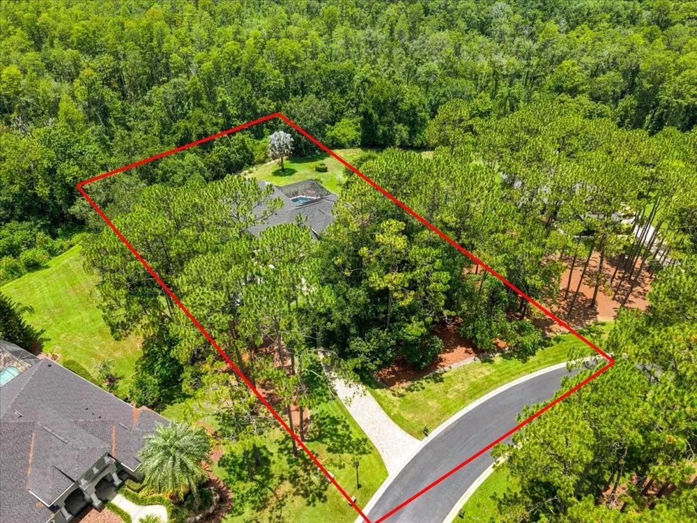 418 PINE BLUFF DRIVE Lutz, FL 33549