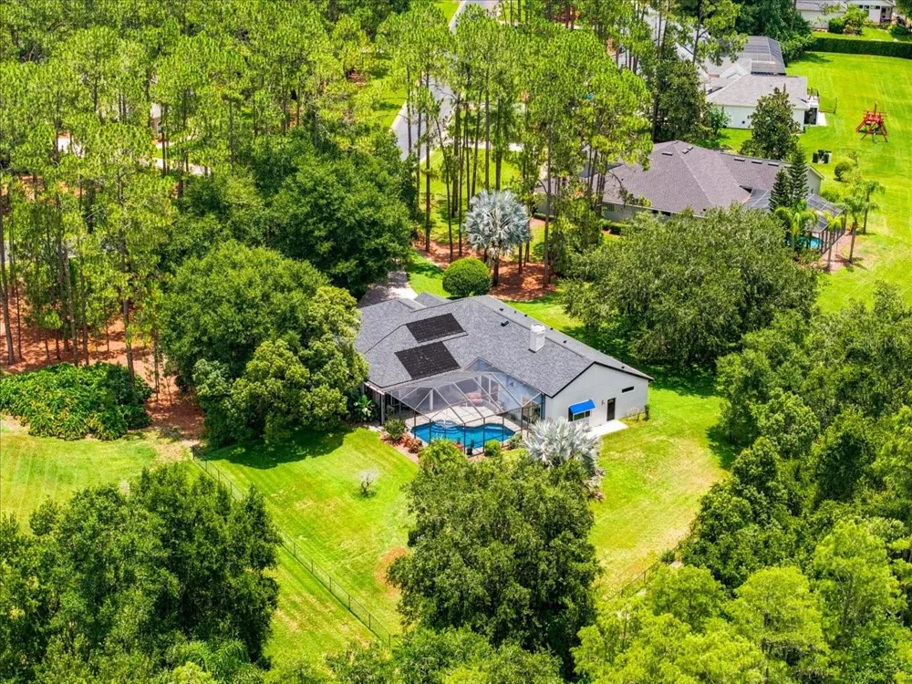 418 PINE BLUFF DRIVE Lutz, FL 33549