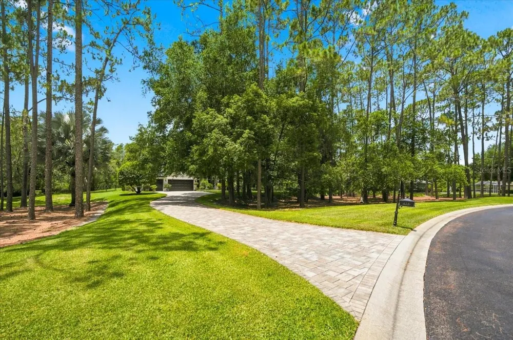 418 PINE BLUFF DRIVE Lutz, FL 33549