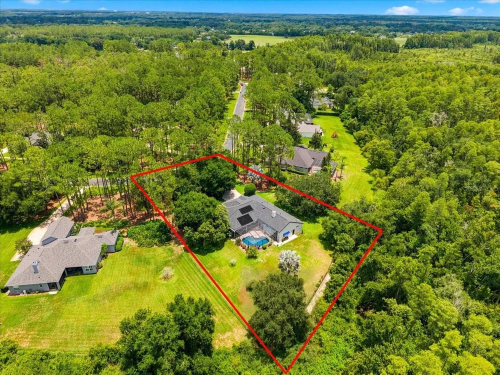 418 PINE BLUFF DRIVE Lutz, FL 33549