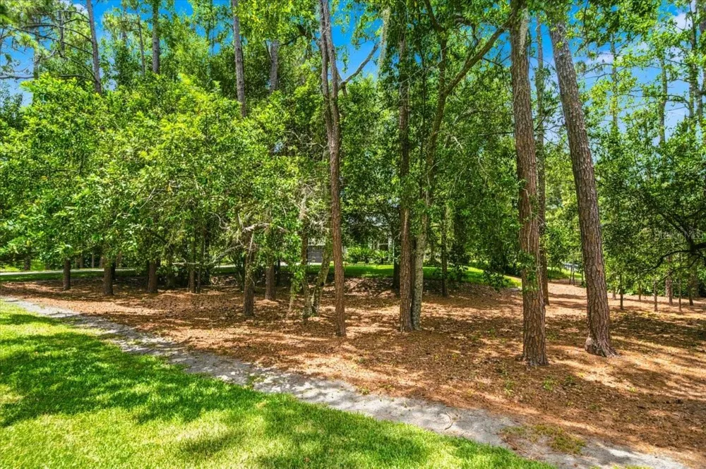 418 PINE BLUFF DRIVE Lutz, FL 33549