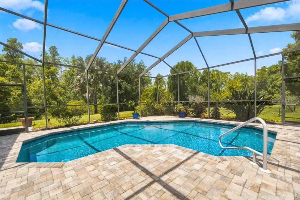 418 PINE BLUFF DRIVE Lutz, FL 33549