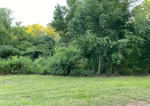 White Oak Drive