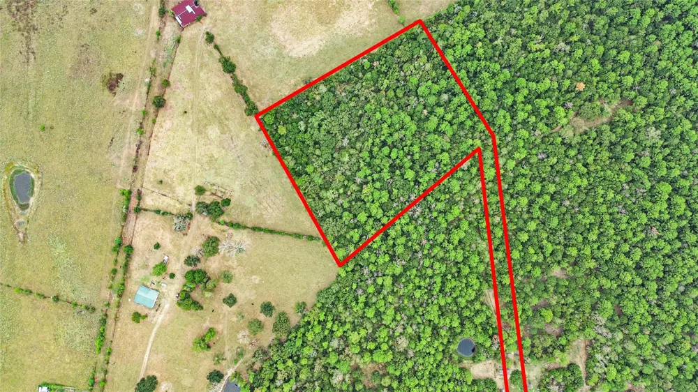 S Sh 94 Trinity, TX 75862