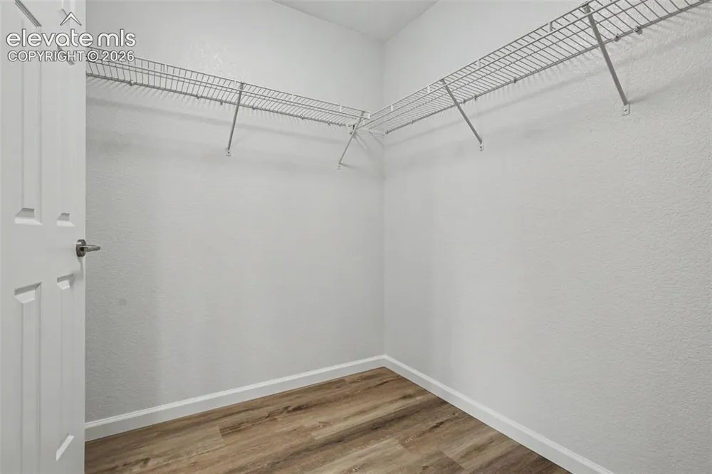 7416 Sandy Springs Point Fountain, CO 80817