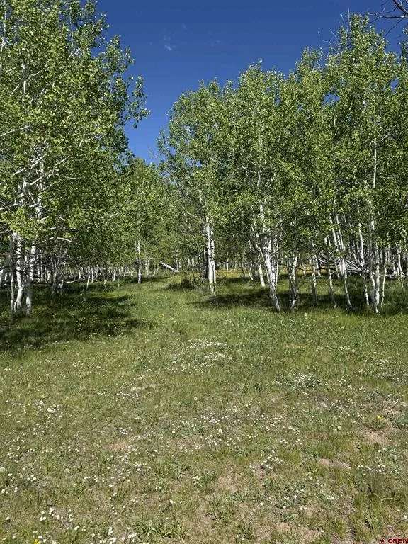 Divide/ Davewood  Road Montrose, CO 81403
