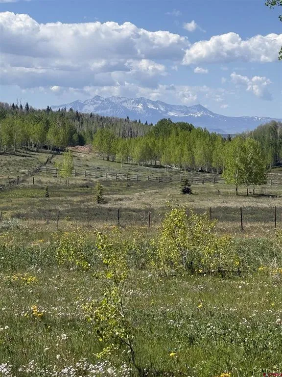 Divide/ Davewood  Road Montrose, CO 81403