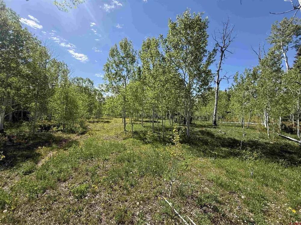 Divide/ Davewood  Road Montrose, CO 81403