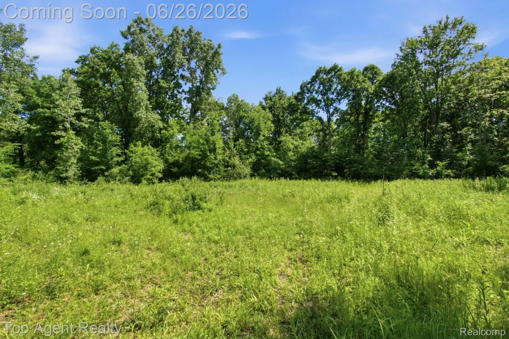 657 DONNA MAE Addison Township, MI 48367