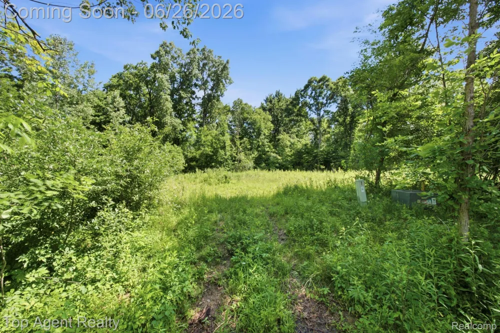 657 DONNA MAE Addison Township, MI 48367