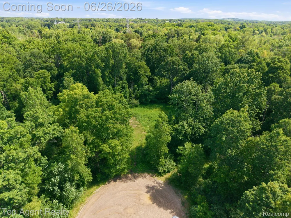 657 DONNA MAE Addison Township, MI 48367