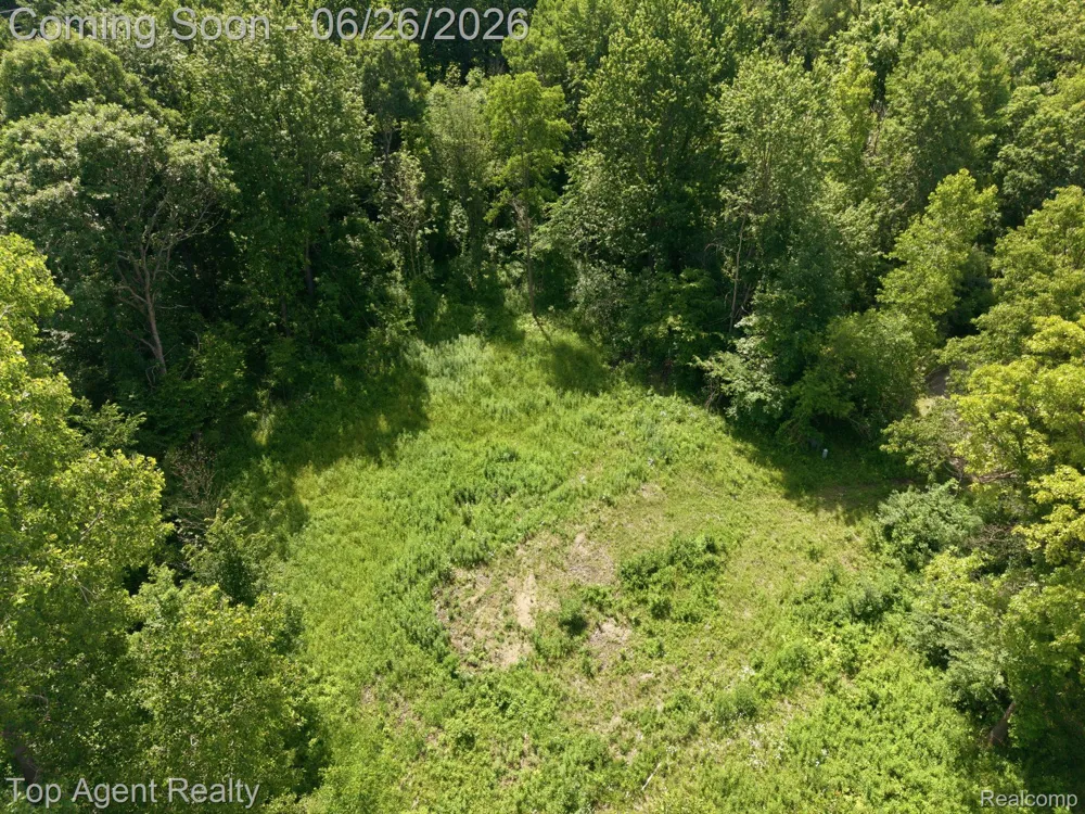 657 DONNA MAE Addison Township, MI 48367